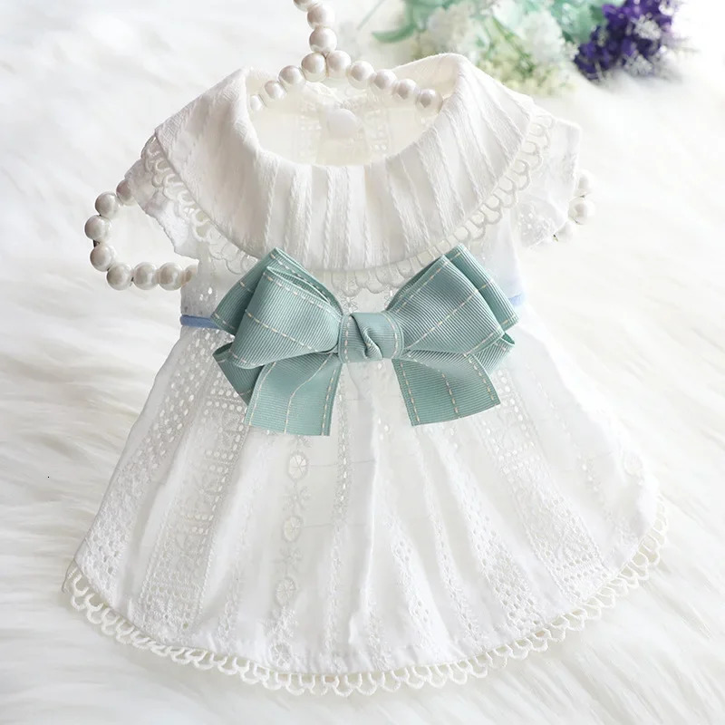 Spring and Summer Thin Lolita Princess Skirts for Pets Dog Clothes Cat Supplies Mint Butterfly 250103