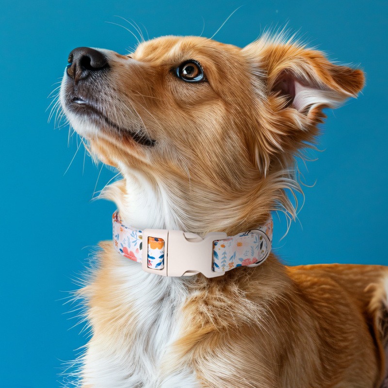 Fashion New Pet Accessories Dog Collars Premium Adjustable Roll Wholesale Pet Collar 2024 Sale Cotton RIBBONS Floral 100% Cotton