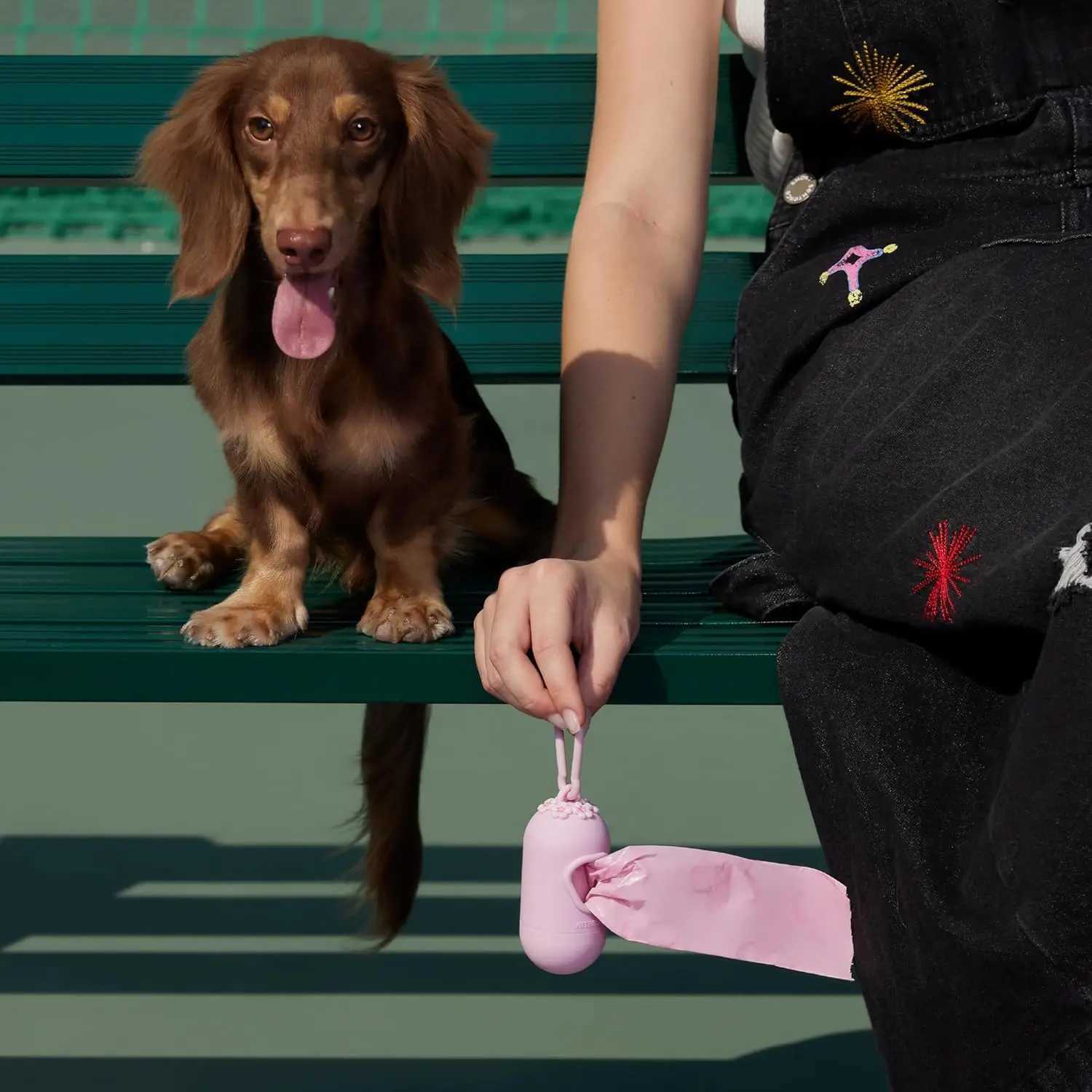 Dog Waste Bag Dispenser Dog Poop Bag Dispenser Bags Pet Garbage Disposable Outdoor Carrier Dispenser Clean Holder for Dogs CatsXJ250104
