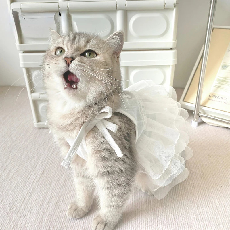 Original Pet Cat Suspender Skirt Dog Cute Princess Mesh Skirt Camisole Clothes Summer 250103