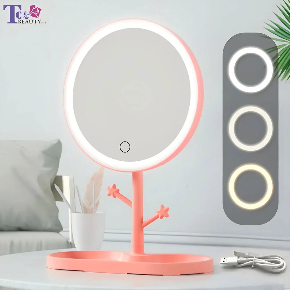 LED Makeup Mirror With Light Ladies Storage Makeup Lamp Desktop Vanity Mirror Round Shape Cosmetic Mirrors Women Christmas Gifts 250103