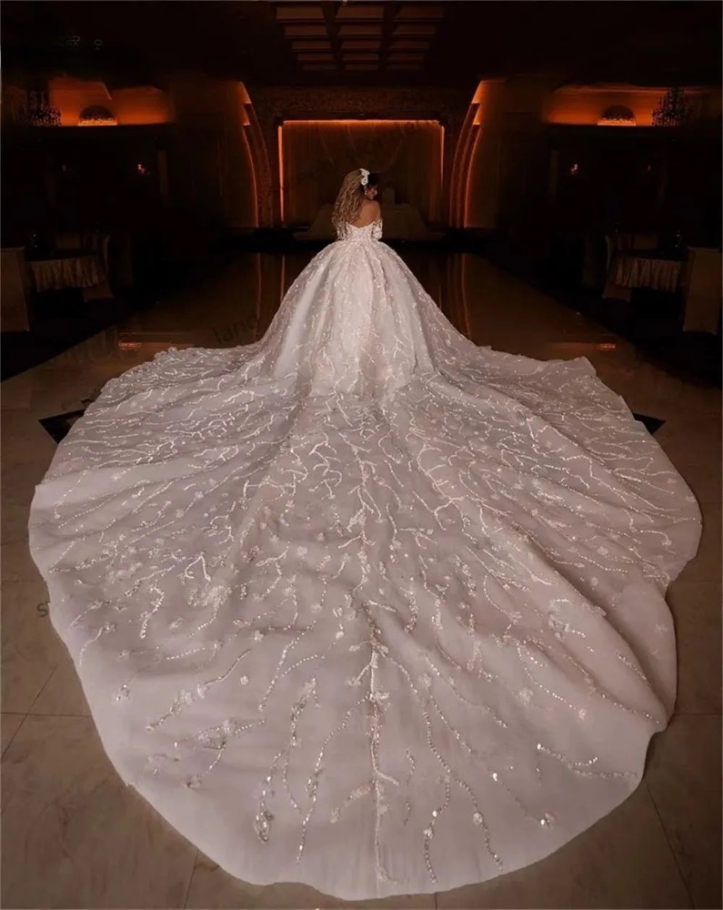 Elegant Luxury A-Line Wedding Dress with Ball Gown Silhouette - Long Sleeves & Big Train in Tulle and Lace