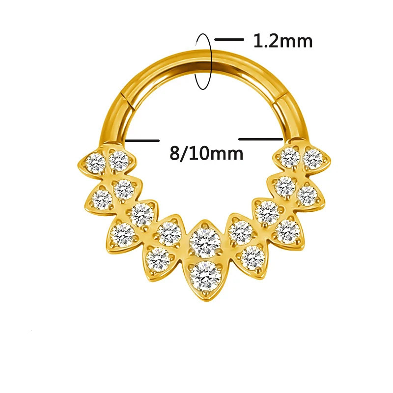 ASTM F136 EAR PIERC Fan-shaped and Heart CZ Hoop Nose Rings Hinged Clicker Labret Tragus Ring Body Piercing Jewelry 250103