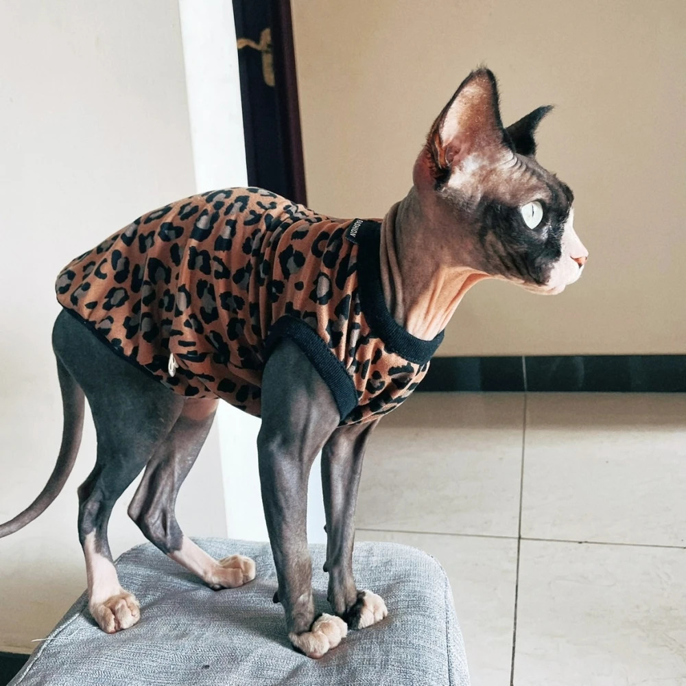 Soft Fleece Leopard Shirt for Sphynx Cat Khaki Sleeveless Coat for Kittens Fashion Spring Sweatshirt For Devon Rex Cat Supplies 250106