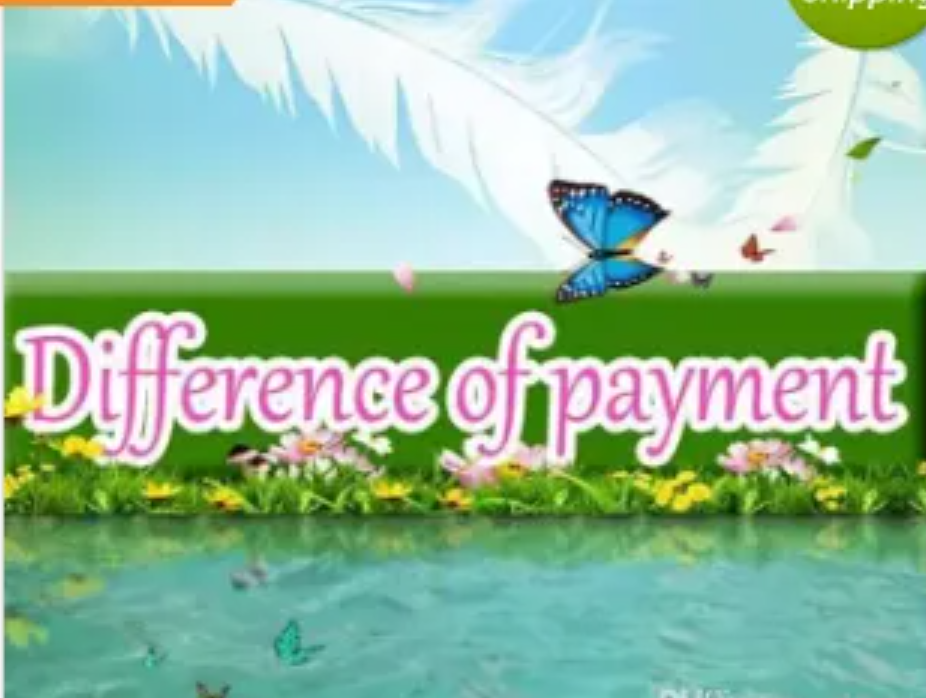 difference of payment11 Others Apparel