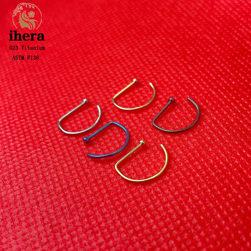 10PCS G23 D Shape Nose Piercing ASTM F136 20G Nose Ring Hoop Septum Rings Sexy Women Body Jewelry Nariz Stud 250103