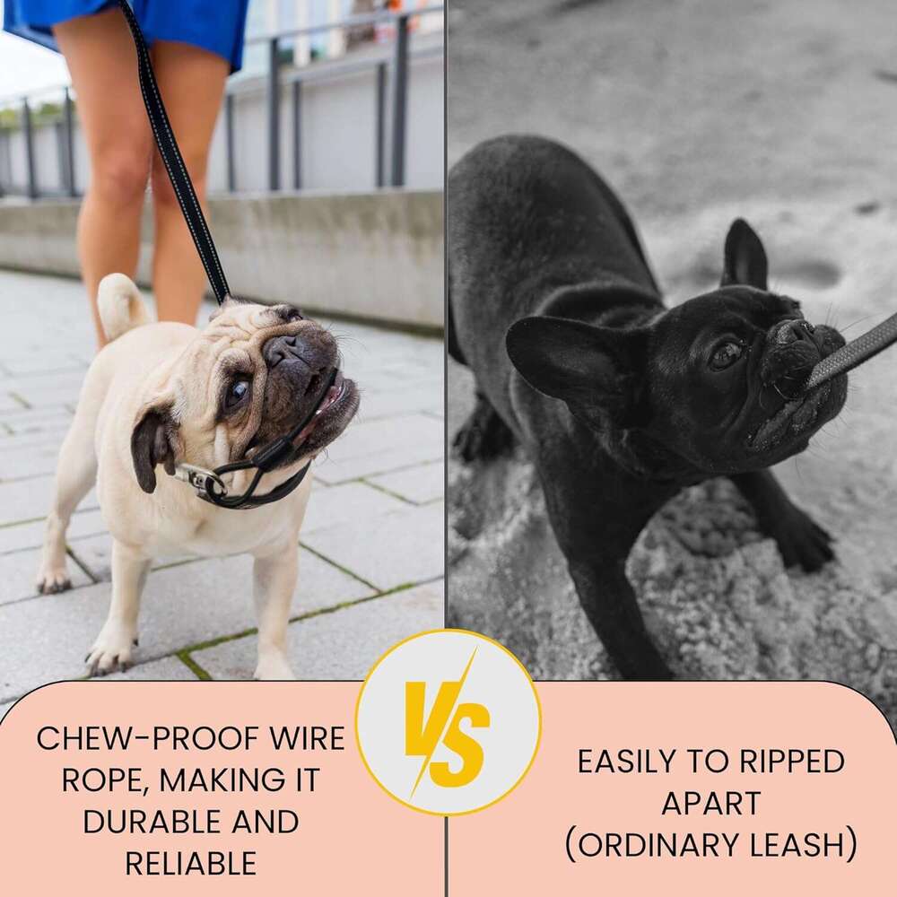 DHpet 360° Tangle-Free Retractable Dog Leash Walking Leash with One-Handed Brake Pause Lock Suitable for Small and Medium-Sized Dogs