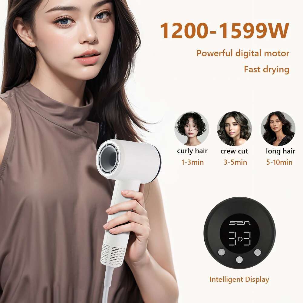 110000 RPM Professional Negative Ionic Blow Brushless Motor High Speed Low Noise For Home Hair Dryer