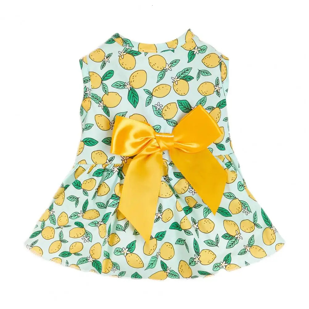 Lovely Cat Skirt Decorating Pet Vest Lemon Printing Clothes Pullover Soft Texture Kitten Dress for Party 250106