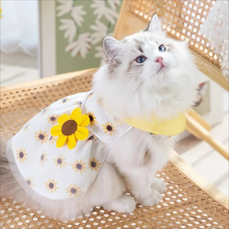 Pet Clothes Cat Puppy Princess Dress Striped Plaid Dresses with Bow for Cats Summer Kitten Dog Sphynx Clothing 250106