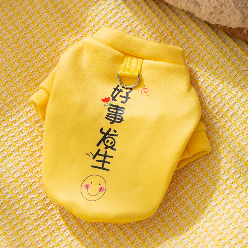 Popular cat clothes for autumn and winter dogs and kittens Garfield breathable and comfortable hoodies autumn pet cat clothing