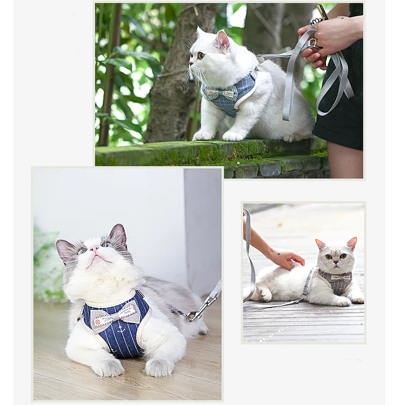 Bowknot Cat Harness and Leash Set Adjustable Puppy Harness Cat Lead Leash Clothes Vest Nylon Mesh Kitten Collar Cat Accessories 250106