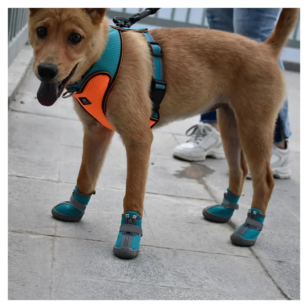 Dog Shoes Waterproof Dog Shoes for Pavement Puppy Pet Boots Paw Protectors Small Medium Dogs for Hardwood Floors Anti Slip 250106