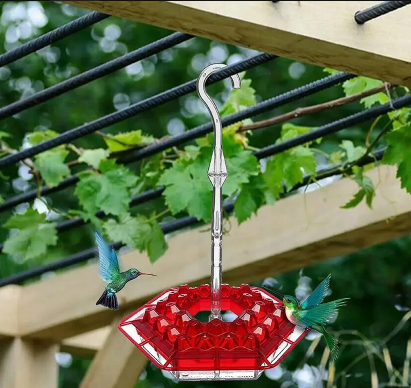 Sleek Hummingbird Feeder with Perch and Built-In Ant Moat for Safe Drinking Experience
