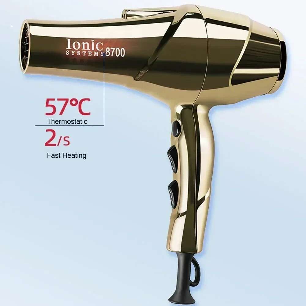 Professional Hair 2200W Powerful Wind 6 Gears Low Noise Blower High Speeds Strong Winds Negative Ions Blow Dryer for Salon