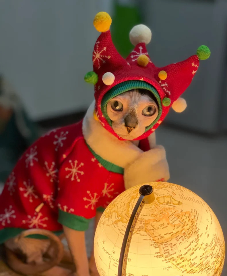 Christmas Snow Suit Clothes for Sphynx Cat Warm Sweater for Hairless Cat Winter Coat Fleece Jacket for Devon Rex Pet Product 250106