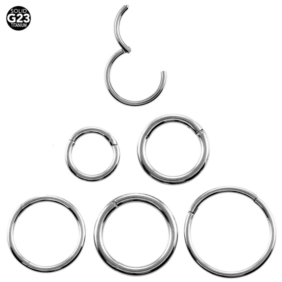 10pcs/lot Hinged Septum Clicker Segment Nose Ring Hoop Eyebrow Lip Helix Daith Conch Cartilage Earrings Punk Jewelry 250103