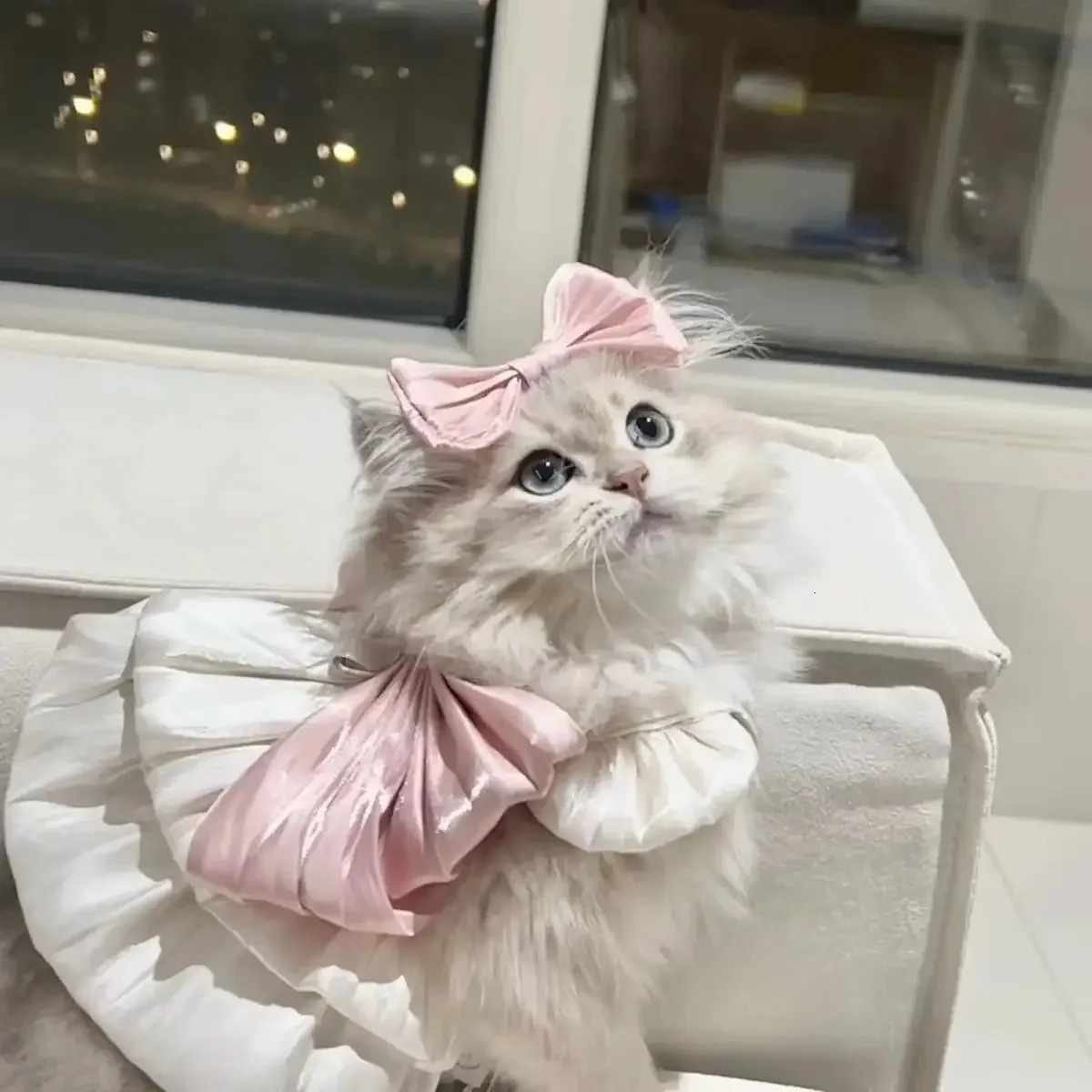 Pet Spring and Summer Flow Yarn Skirt Cats Dogs Pets Breathable Out Traction Thin Section of The Sun Dress Dog White Dress 250106