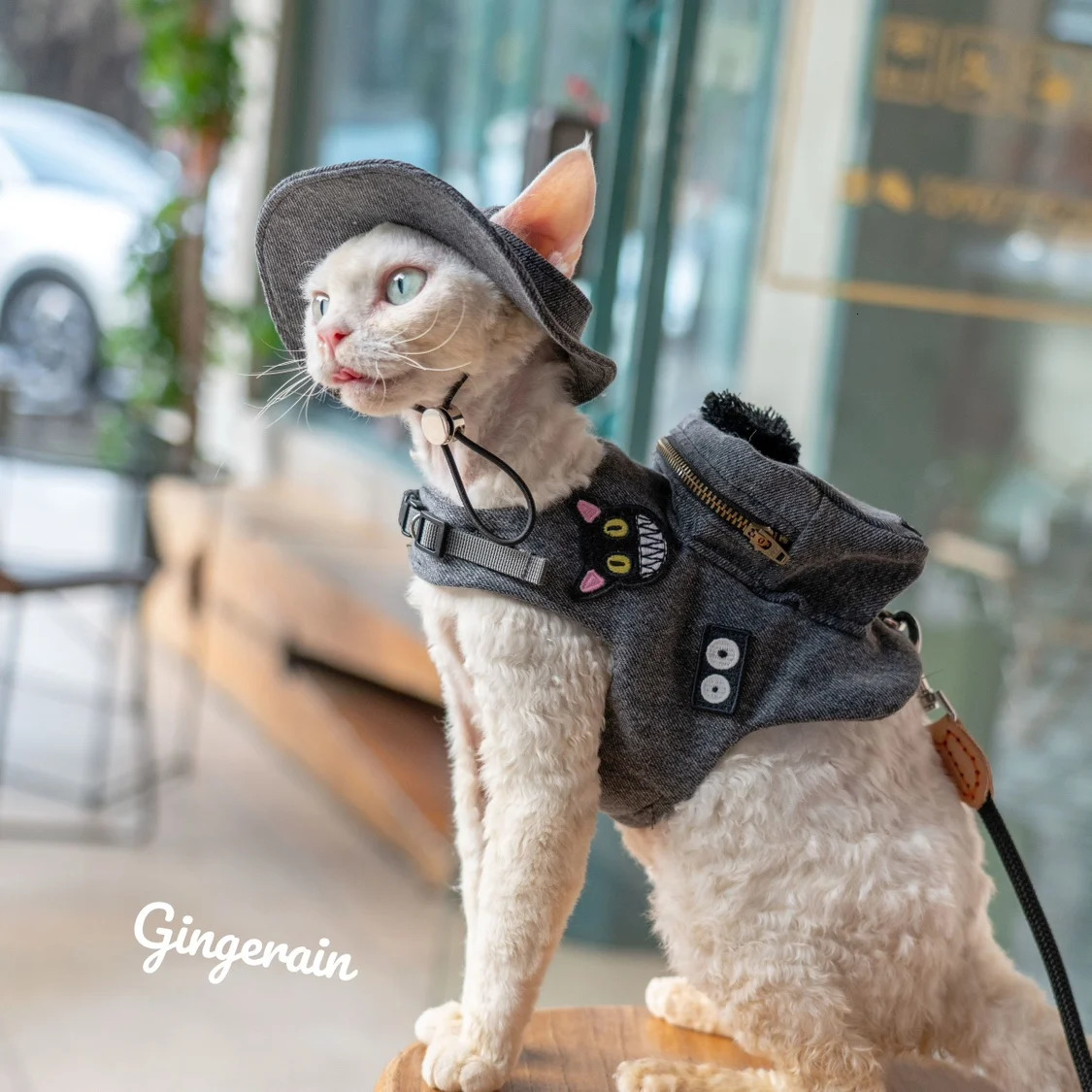 Black Cute Pet Self Backpack Harness Vest For s Gotas Katten Sphynx Rex Handmade Travel Snack Bag 250106