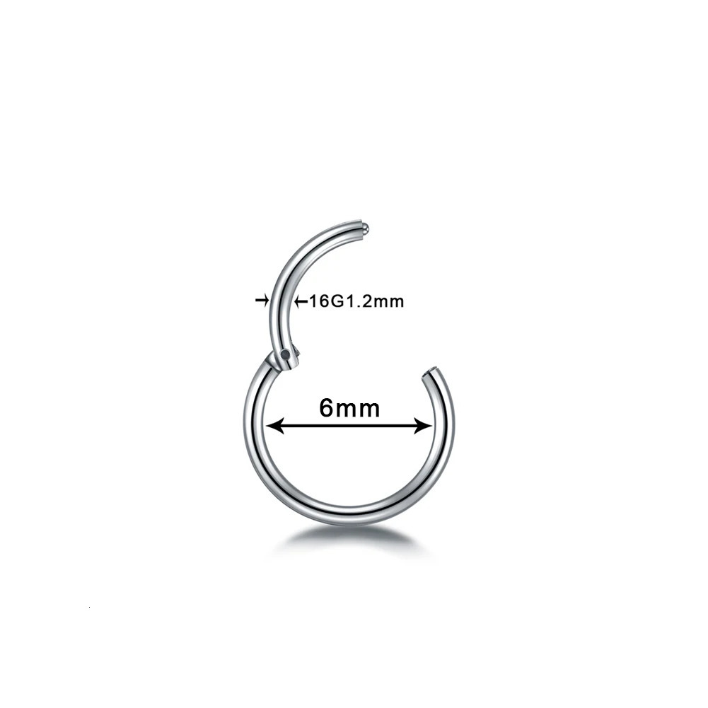 10pcs/lot Hinged Septum Clicker Segment Nose Ring Hoop Eyebrow Lip Helix Daith Conch Cartilage Earrings Punk Jewelry 250103