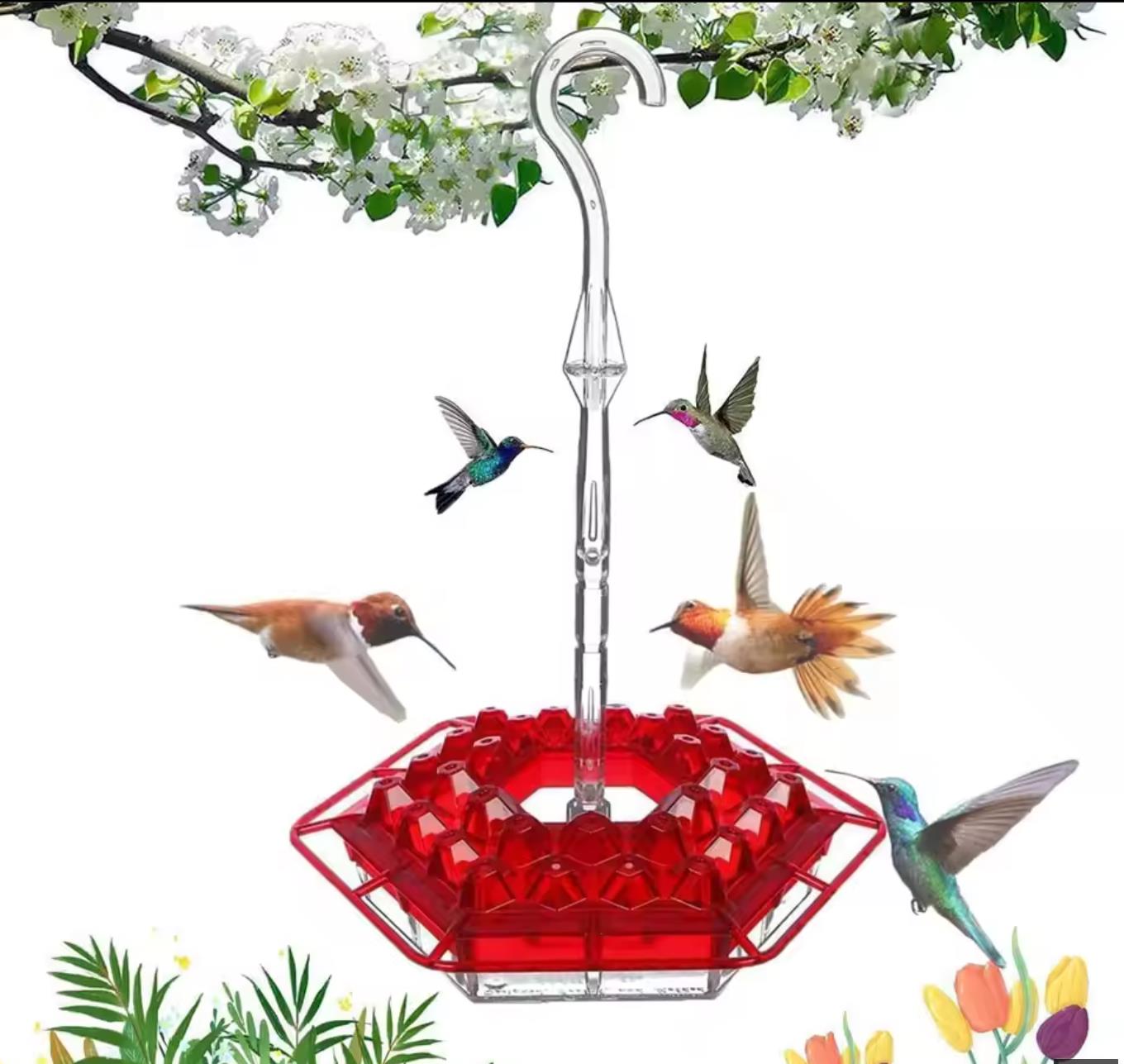 Sleek Hummingbird Feeder with Perch and Built-In Ant Moat for Safe Drinking Experience