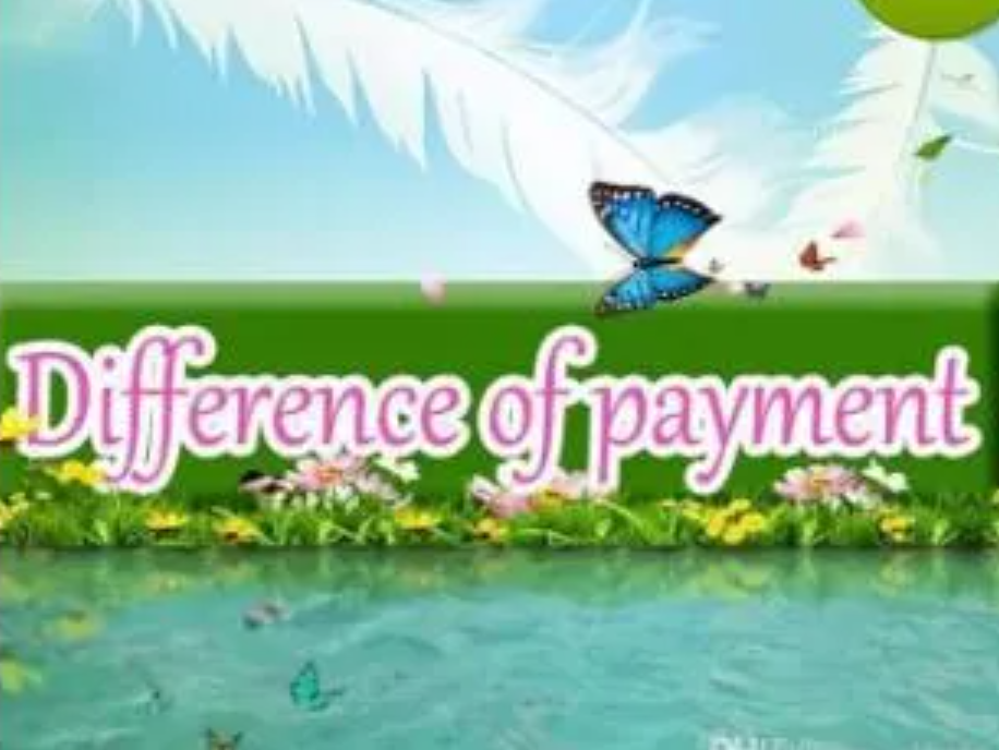 difference of payment11 Others Apparel