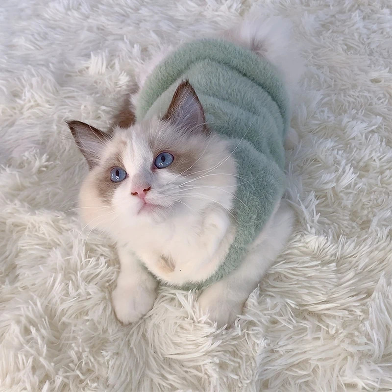 Cats Accessories Pets Warm Kittens Clothes for Winter Kitten Small Kitten Stuff Apparels Cooling Clothing Dogs Sweater Vests 250106