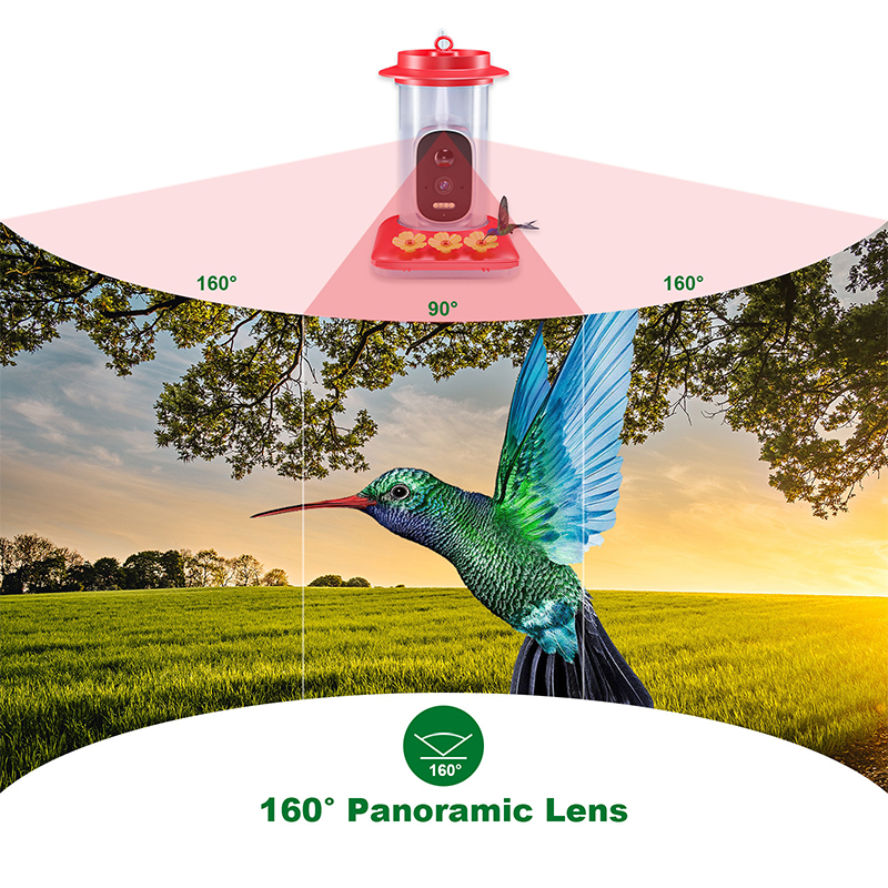 Smart Hummingbird Feeder Bird Pet Feeder Outdoor APP WIFI Ant-proof AI Bird Recognition Camera for Canary Hummingbirds