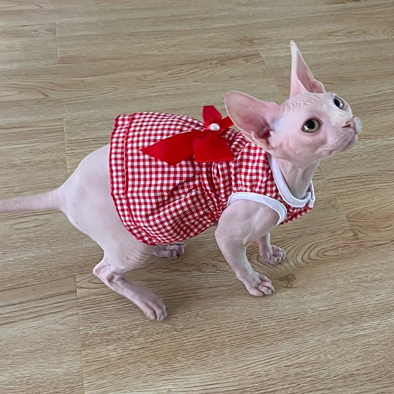 Spring Summer Stripe Sphynx Cat Bow Skirt Cute Pet Dress for Cats Gotas Katten Kedi Dresses mascotas Clothes Clothing vestido 250106
