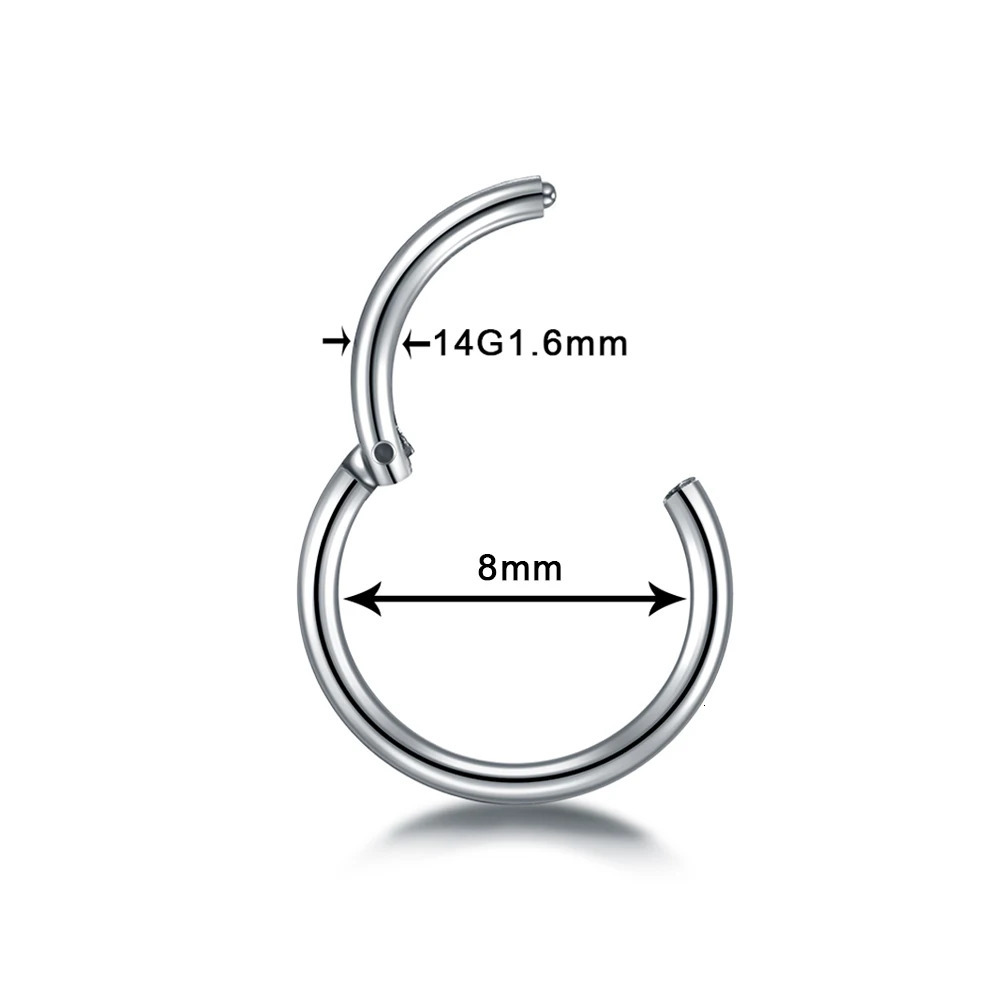 10pcs/lot Hinged Septum Clicker Segment Nose Ring Hoop Eyebrow Lip Helix Daith Conch Cartilage Earrings Punk Jewelry 250103