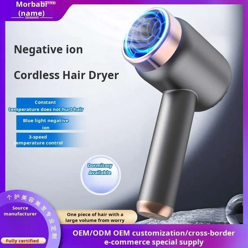 Household quickdrying care high power radio negative ion highspeed hair dryer