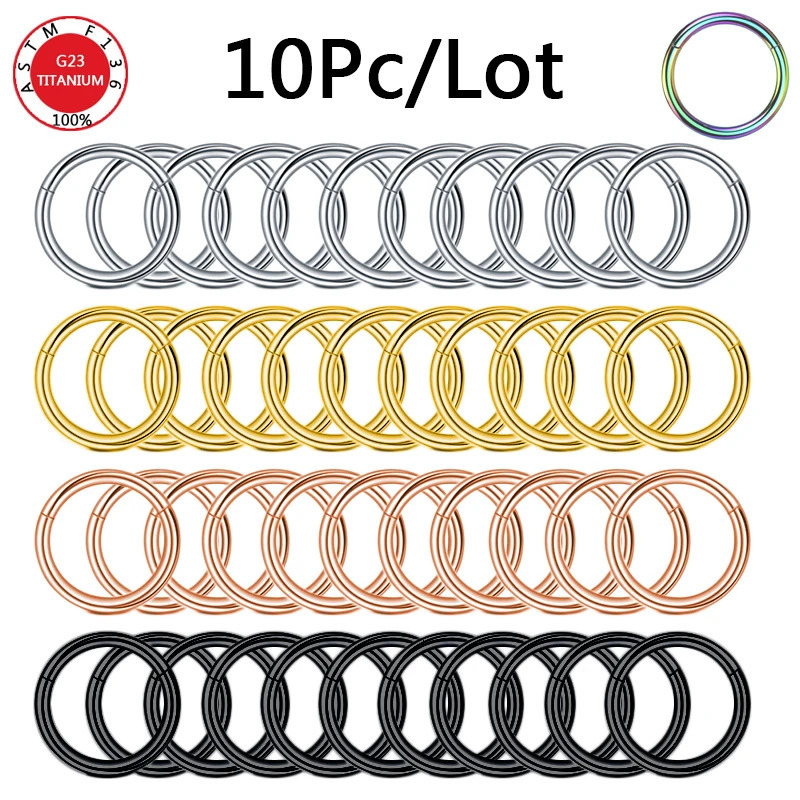 10Pc/Lot Segment Piercing Nose Ring G23 Hinged Open Small Septum Nose Earrings Women Men Ear Piercing Body Jewelry 250103