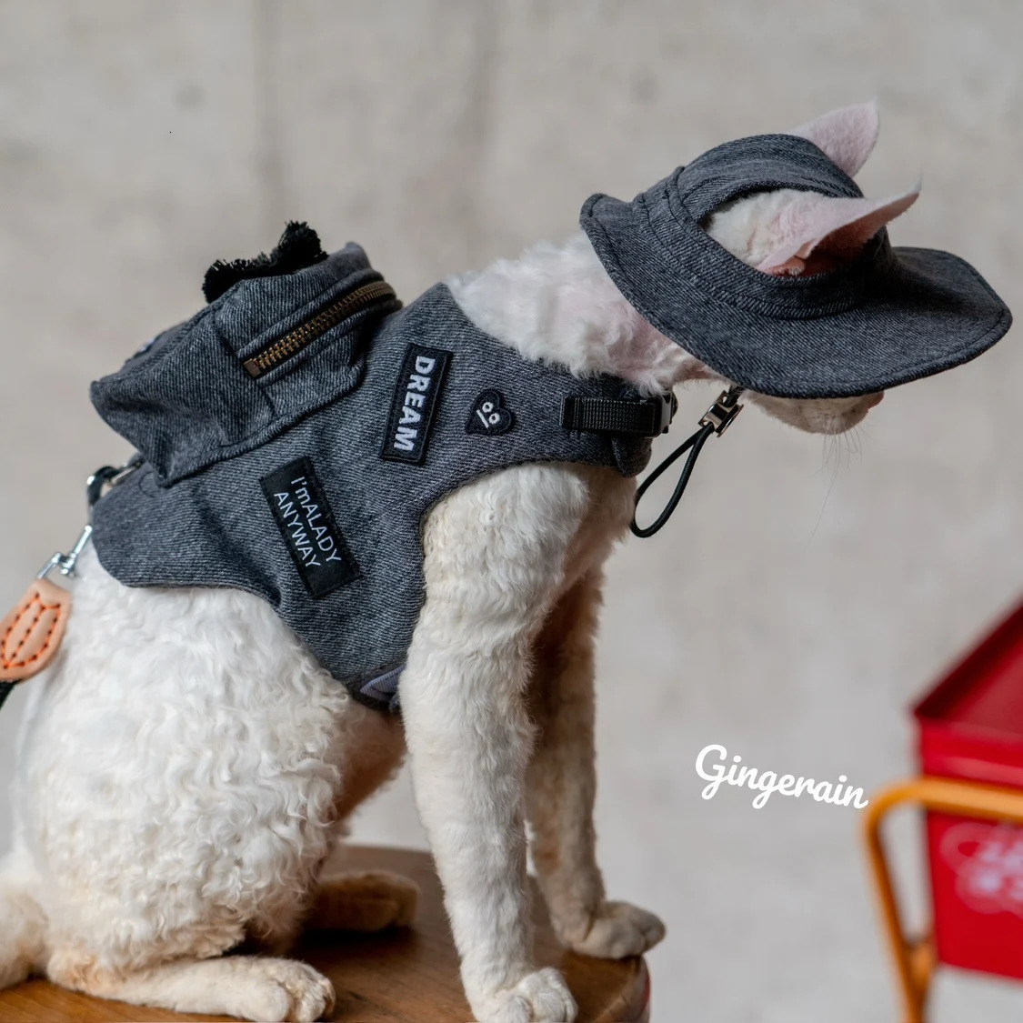 Black Cute Pet Self Backpack Harness Vest For s Gotas Katten Sphynx Rex Handmade Travel Snack Bag 250106