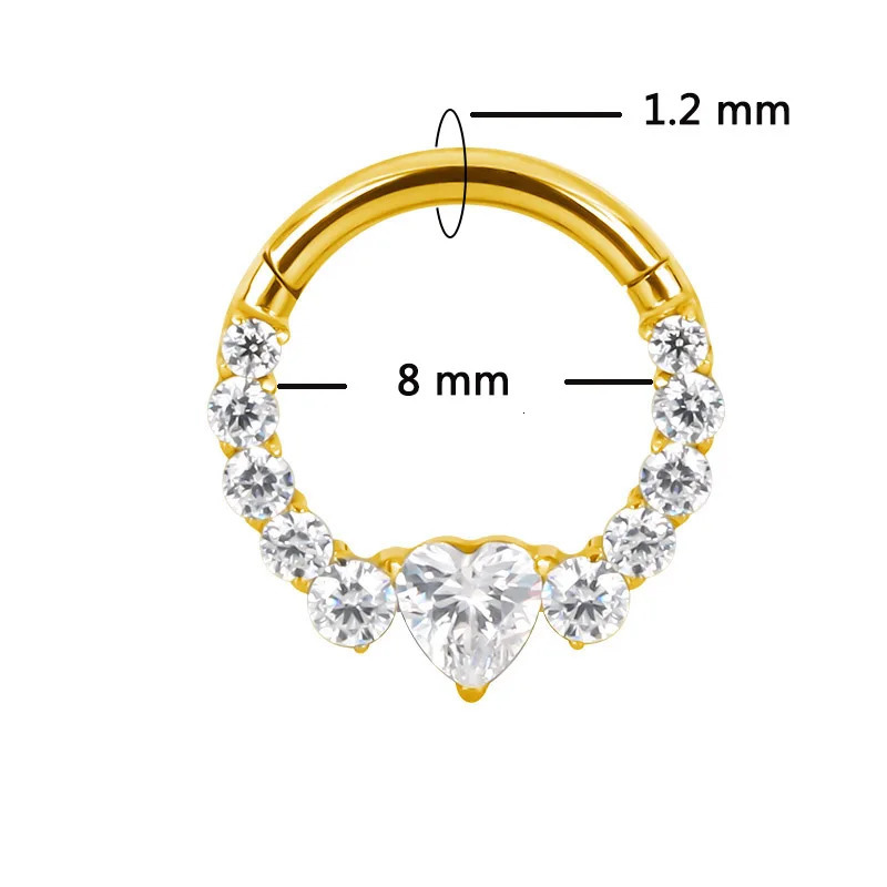 ASTM F136 EAR PIERC Fan-shaped and side CZ Ring Hoop Nose Rings Hinged Clicker Earring Labret Tragus Ring Body Piercing 250103