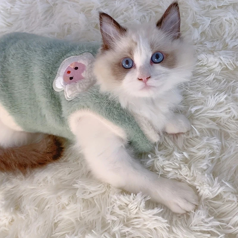 Cats Accessories Pets Warm Kittens Clothes for Winter Kitten Small Kitten Stuff Apparels Cooling Clothing Dogs Sweater Vests 250106