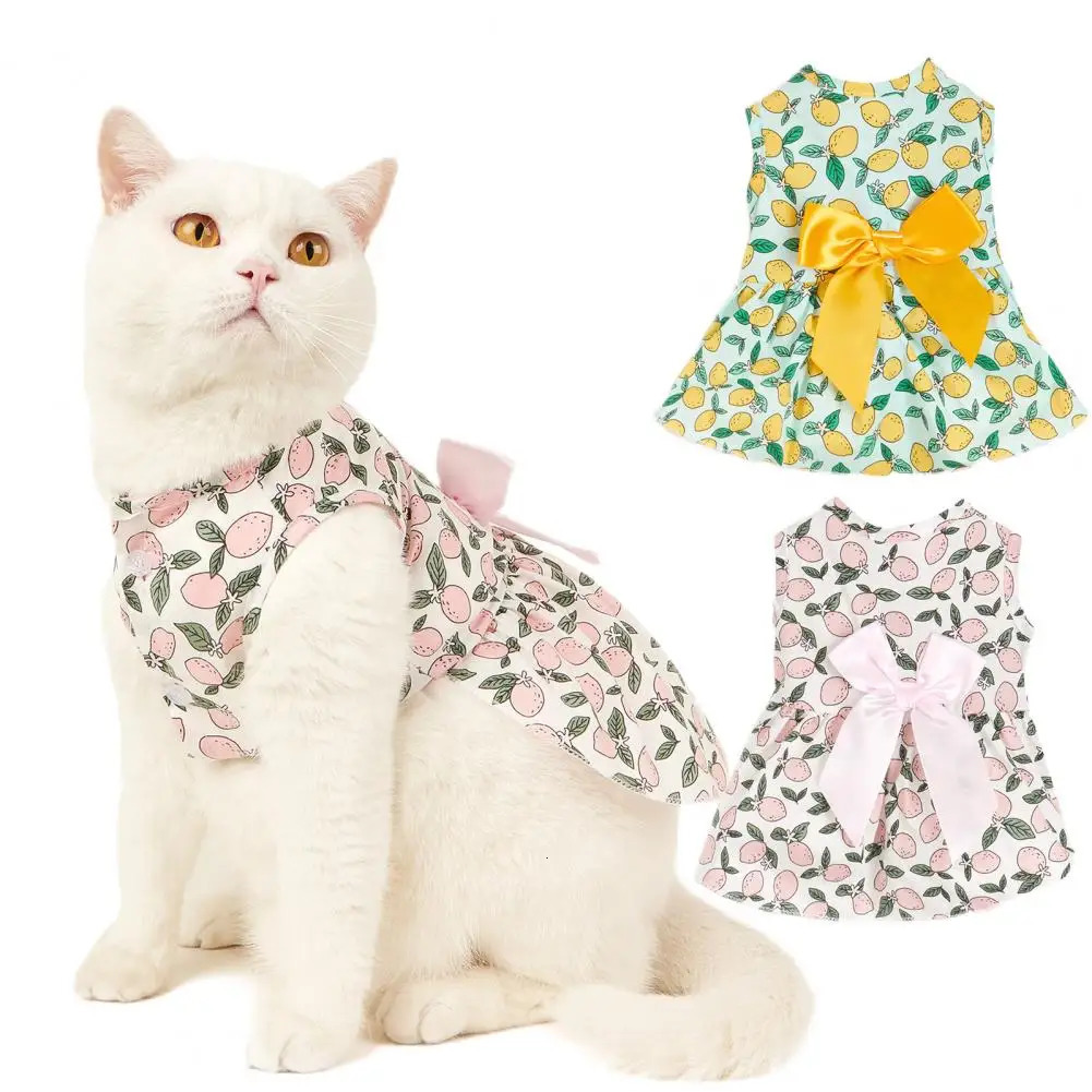 Lovely Cat Skirt Decorating Pet Vest Lemon Printing Clothes Pullover Soft Texture Kitten Dress for Party 250106