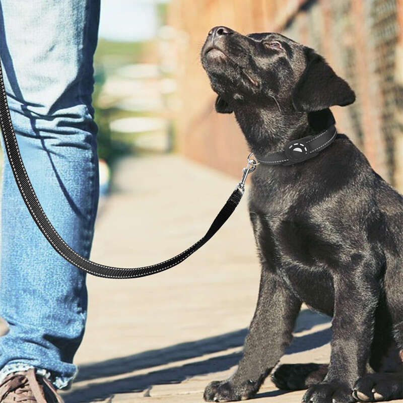 DHpet Double-Sided Reflective Dog Leash with Soft Padded Handle for Training Walking Lead for Large & Medium Dog 6 FT/5 FT/4 FT Length 1 Inch Wide