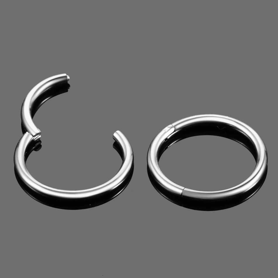 10pcs/lot Hinged Septum Clicker Segment Nose Ring Hoop Eyebrow Lip Helix Daith Conch Cartilage Earrings Punk Jewelry 250103