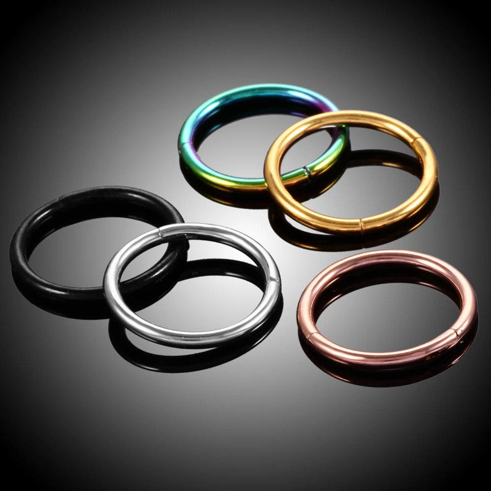 10Pc/Lot Segment Piercing Nose Ring G23 Hinged Open Small Septum Nose Earrings Women Men Ear Piercing Body Jewelry 250103