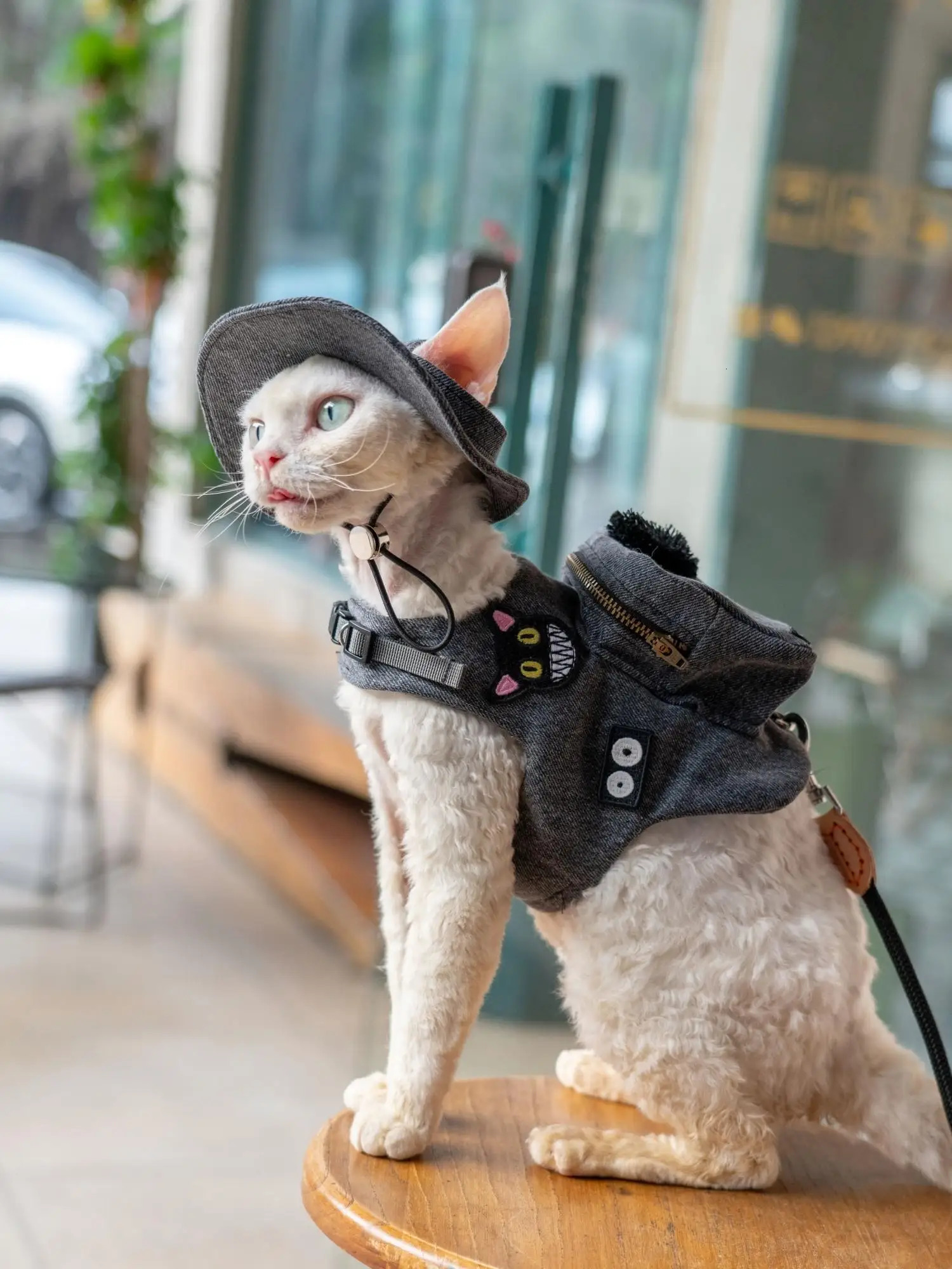 Black Cute Pet Self Backpack Harness Vest For s Gotas Katten Sphynx Rex Handmade Travel Snack Bag 250106