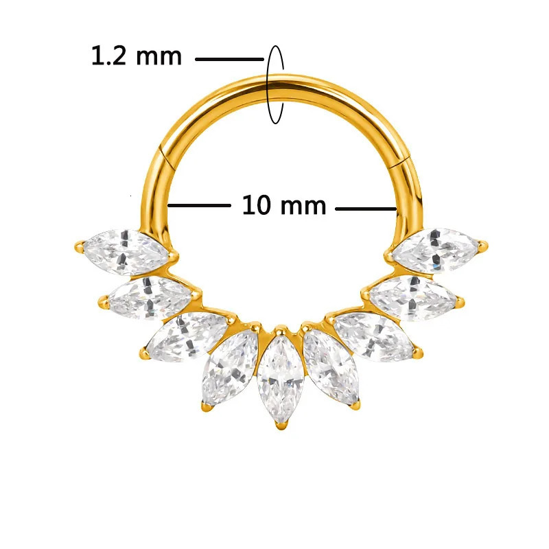 ASTM F136 EAR Nose Ring PIERC with CZ Segment Hoop Ring Face Hinged Segment Clicker Labret Cartilage Piercing Jewelry 250103