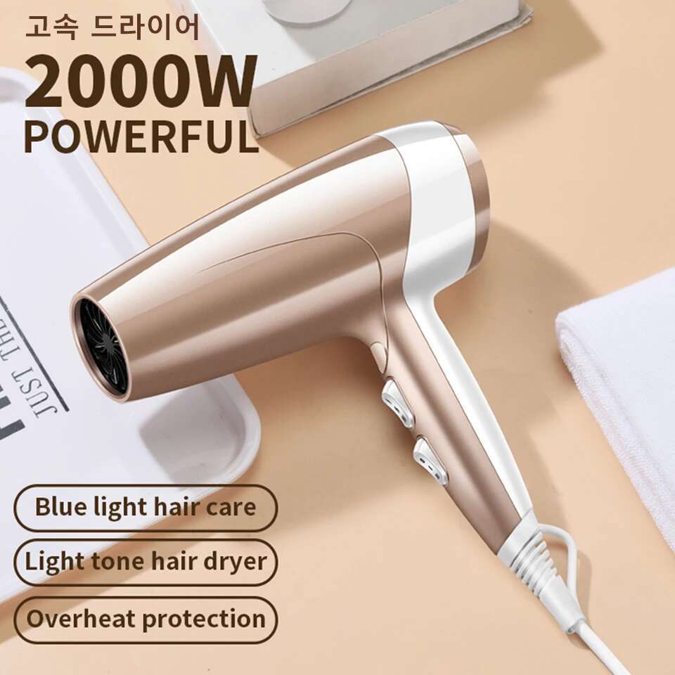 Wind Dryer 2000W High Power Negative Ion Quick Drying Home Styg Professional Hair Drye Blue Light Care