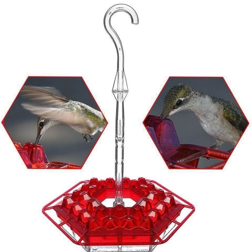 Sleek Hummingbird Feeder with Perch and Built-In Ant Moat for Safe Drinking Experience