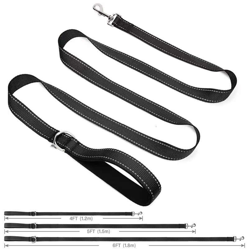 DHpet Double-Sided Reflective Dog Leash with Soft Padded Handle for Training Walking Lead for Large & Medium Dog 6 FT/5 FT/4 FT Length 1 Inch Wide