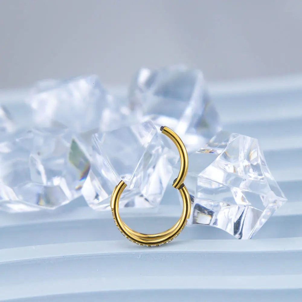 10/50pcs G23 Earrings Set 5A CZ Stones Sexy Nose Rings Daith Lip Hoops Ear Helix Cartilage Piercing Wholesale Jewelry 250103
