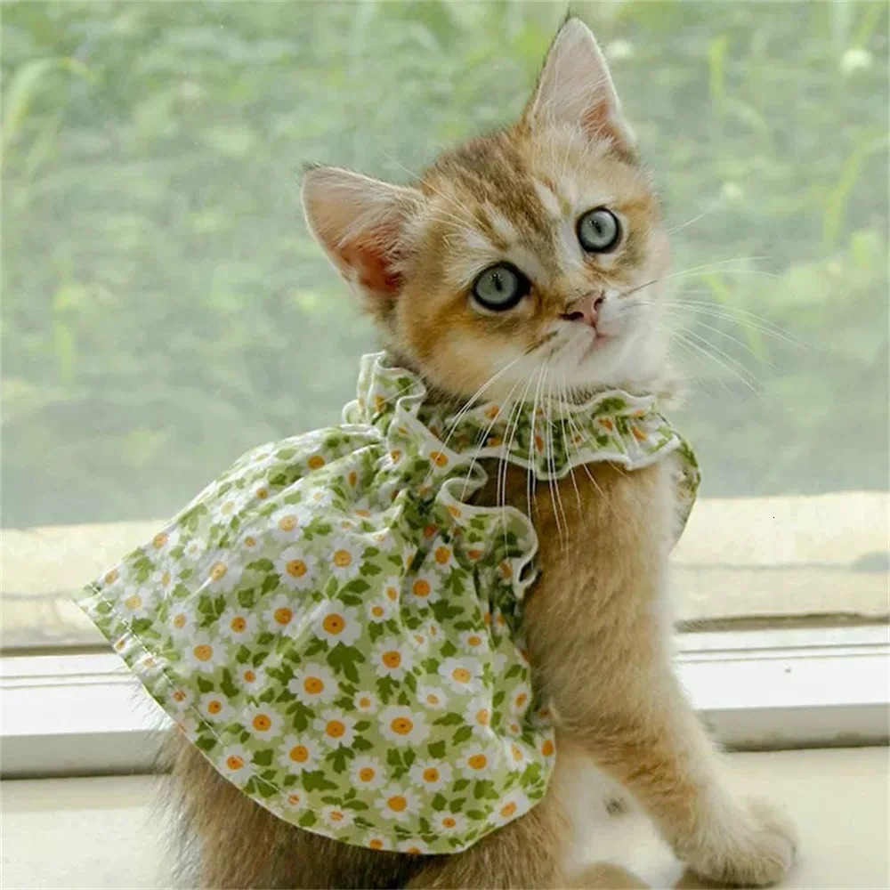 Summer Cotton Sphynx Cat Suspender Skirt Love Flower Pet Princess Dresses for Cats Gotas Katten Kedi Dog Dress mascotas Clothes 250106