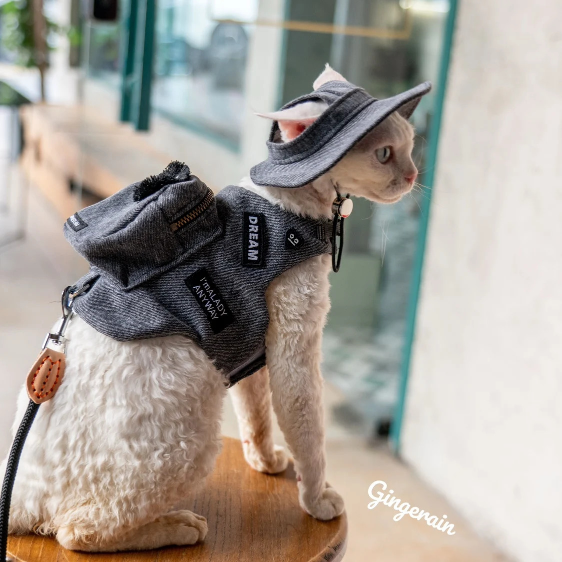 Black Cute Pet Self Backpack Harness Vest For s Gotas Katten Sphynx Rex Handmade Travel Snack Bag 250106