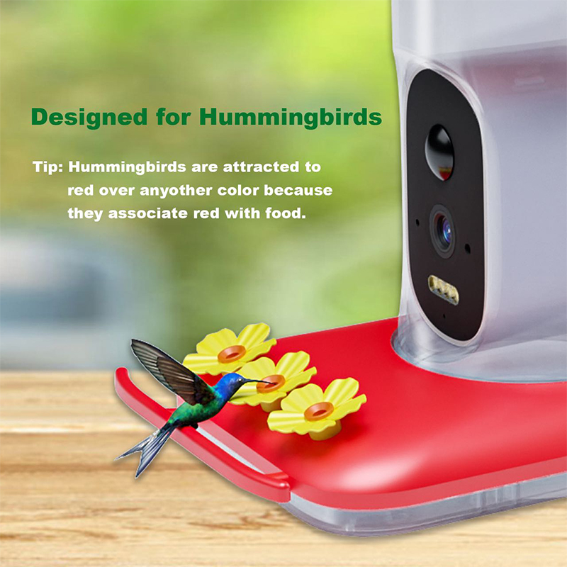 Smart Hummingbird Feeder Bird Pet Feeder Outdoor APP WIFI Ant-proof AI Bird Recognition Camera for Canary Hummingbirds