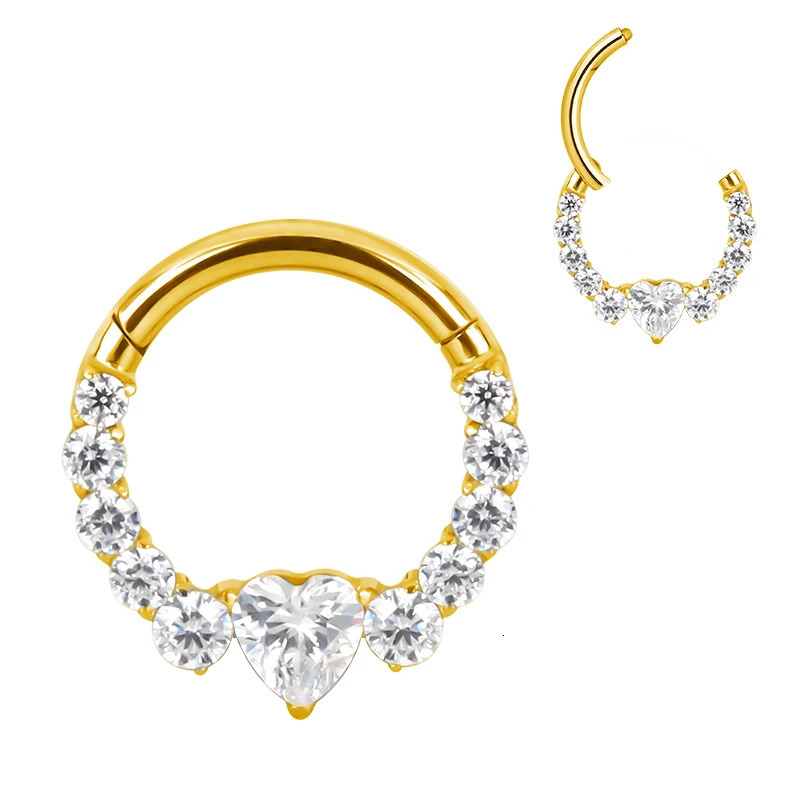 ASTM F136 EAR PIERC Fan-shaped and side CZ Ring Hoop Nose Rings Hinged Clicker Earring Labret Tragus Ring Body Piercing 250103