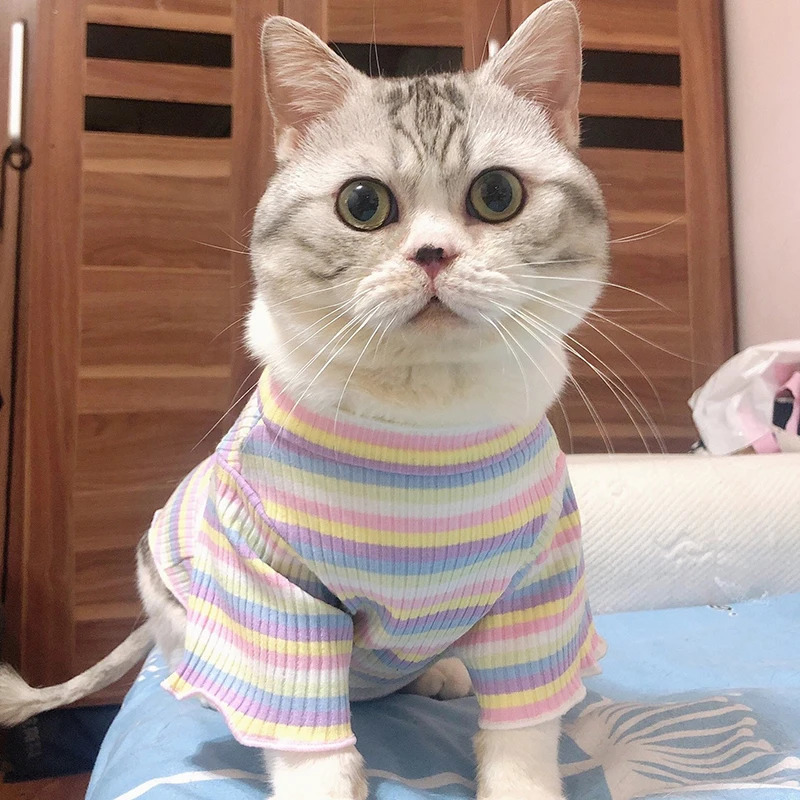 Spring Cotton Pet Cat Clothes for Cats Gotas Mascotas Clothing Sweet Stripe Puppy Sphynx Cat Katten Vest Shirt ubranie dla kota 250106